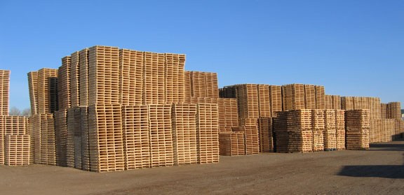 Pallets warehouse3